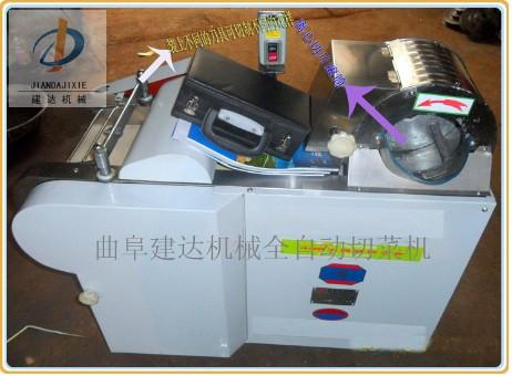 離心輪不銹鋼切菜機(jī)首選建達(dá)切菜機(jī)圖片
