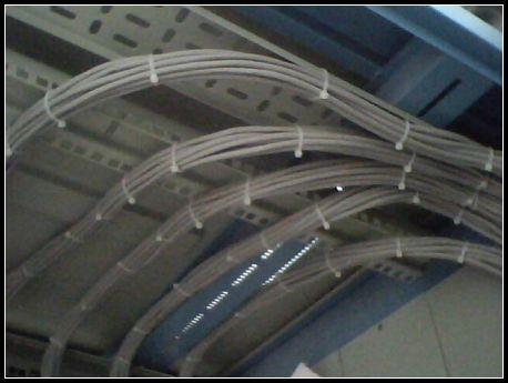 供應青島開發(fā)區(qū)黃島弱電技術員外包，網(wǎng)絡綜合布線，上門維護