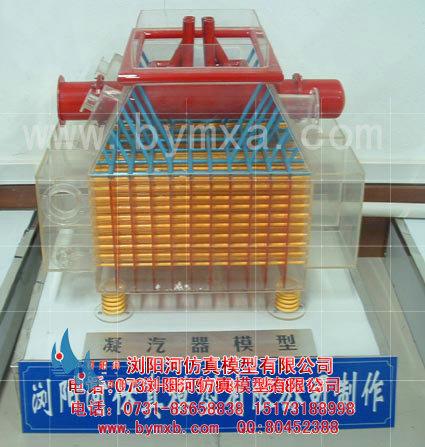 3d科普模型的價格圖片