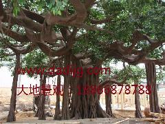 供應(yīng)連云港假山假樹(shù)專業(yè)建造