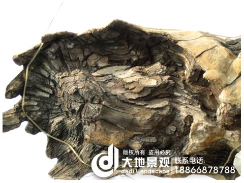 供應(yīng)仿真假樹(shù)假山景觀工程