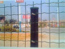 雙信篩網(wǎng)長期供應荷蘭網(wǎng)