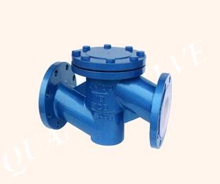 四氟止回閥圖片