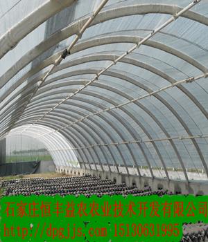 供應(yīng)北京蔬菜大棚骨架