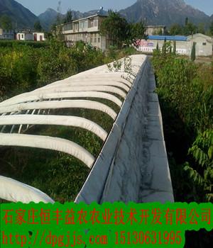 云南蔬菜大棚圖片