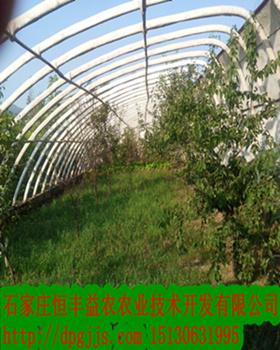 供應(yīng)內(nèi)蒙大棚骨架機(jī)器怎么操作