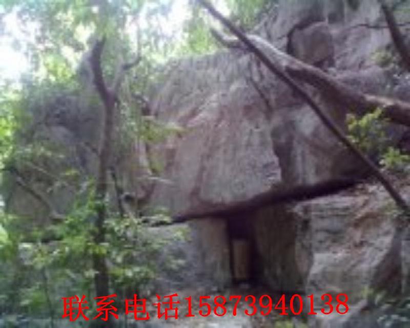 供應(yīng)重慶塑石假山施工