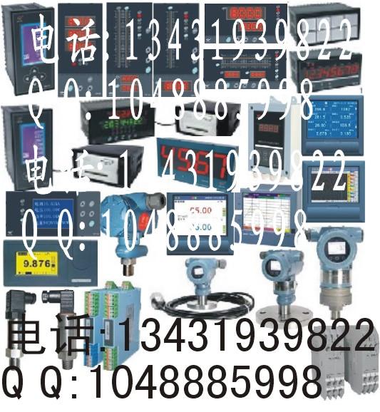 WP-CDA03-82-23-HL-P-G超大屏幕单回路数字显示仪