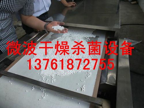 微波南瓜子烘干設(shè)備圖片