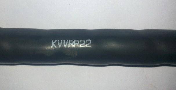 KVVP2控制电缆价钱图片