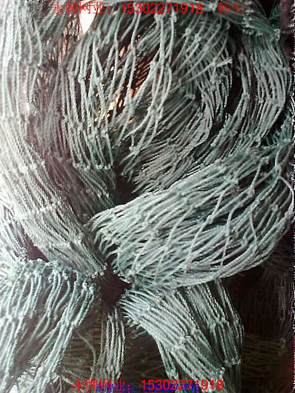 農(nóng)用瓜棚網(wǎng)圖片/農(nóng)用瓜棚網(wǎng)樣板圖 (2)