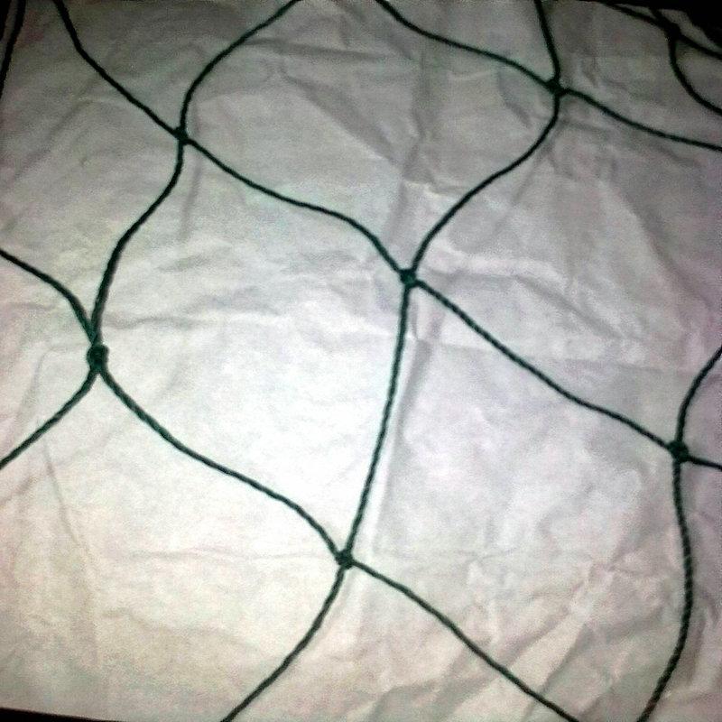 農(nóng)用瓜棚網(wǎng)圖片/農(nóng)用瓜棚網(wǎng)樣板圖 (3)