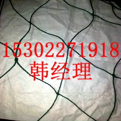 供應瓜棚網(wǎng)