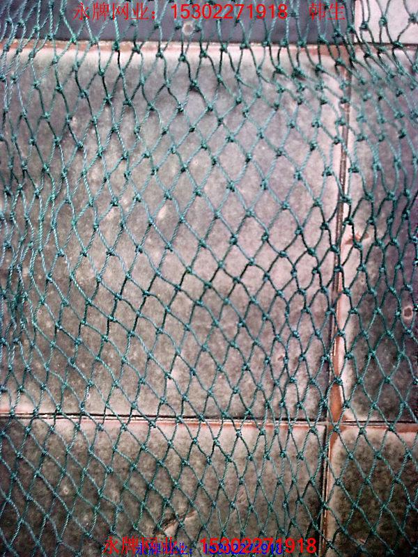 供應(yīng)中國廣東*的球場網(wǎng)生產(chǎn)廠家