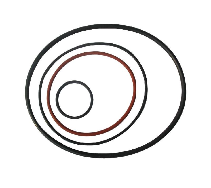進(jìn)口骨架油封圖片/進(jìn)口骨架油封樣板圖 (3)