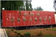 供應(yīng)上海二辛酯DOP*DBP替代品