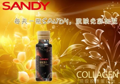 上海市进口SANDY胶原蛋白批发代理厂家