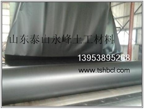 高密度聚乙烯土工膜圖片/高密度聚乙烯土工膜樣板圖 (4)