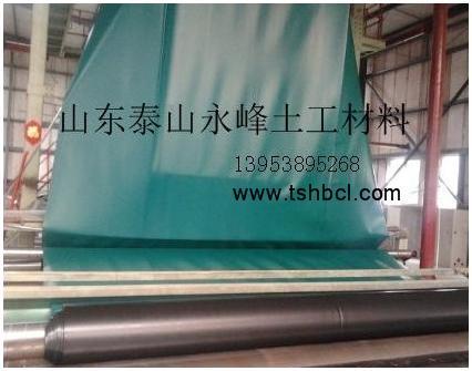 hdpe土工膜報價圖片/hdpe土工膜報價樣板圖 (2)