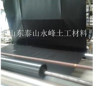 供應(yīng)北京土工膜上海土工膜山東土工膜價(jià)格