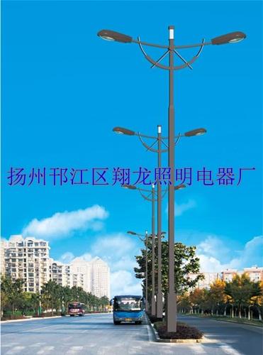 供應(yīng)江蘇廠家直銷各種優(yōu)質(zhì)道路照明燈