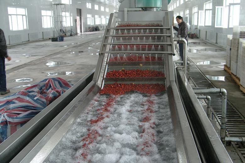 供應(yīng)龍蝦清洗機網(wǎng)帶網(wǎng)鏈不銹鋼龍蝦清洗機網(wǎng)帶