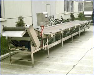 供應(yīng)龍蝦清洗機網(wǎng)帶網(wǎng)鏈不銹鋼龍蝦清洗機網(wǎng)帶