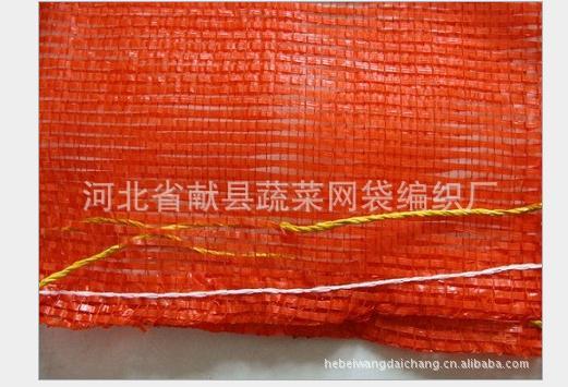供應(yīng)南瓜*袋/河北獻(xiàn)縣網(wǎng)袋廠/