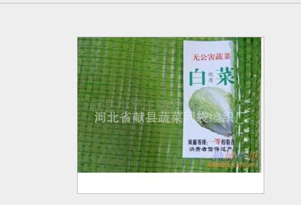 供應大白菜網(wǎng)袋/大白菜*袋/蔬菜網(wǎng)袋