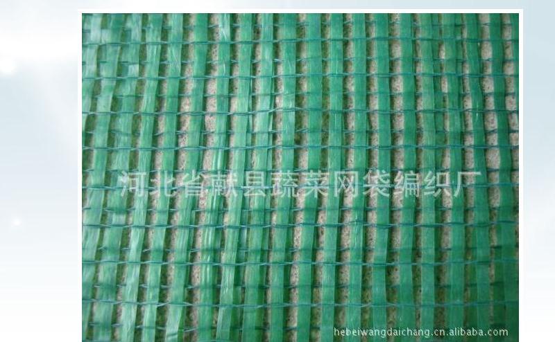 供應圓白菜網眼袋/卷心菜網眼袋/