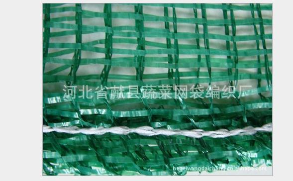 供應海菜包裝袋/海菜網(wǎng)袋/海菜包裝袋