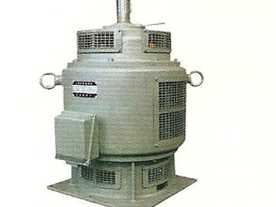 供應(yīng)大連防爆電機(jī)變頻電機(jī)伺服電機(jī)