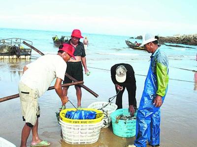 供應(yīng)TPU捕魚(yú)服裝面料