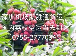 供應深圳空運荔枝等水果至全國各地當天到達