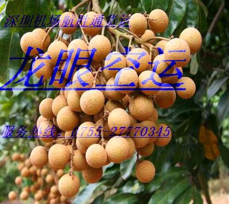 供應深圳空運荔枝等水果至全國各地當天到達