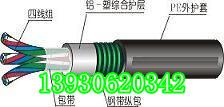 供应MHYV矿用通信电缆MHYV