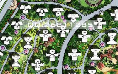 供應(yīng)彩平圖 彩平圖制作 彩色總平填色