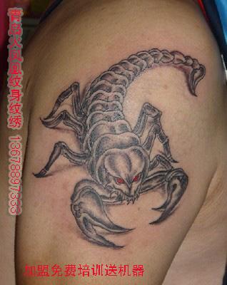 青島特價(jià)招收紋身模特每月一圖圖片/青島特價(jià)招收紋身模特每月一圖樣板圖 (2)