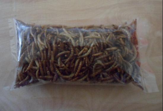 供應(yīng)黃粉蟲(chóng)干品哪有賣