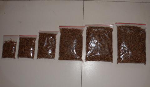 信達(dá)生態(tài)養(yǎng)殖基地寵物小食品干品圖片