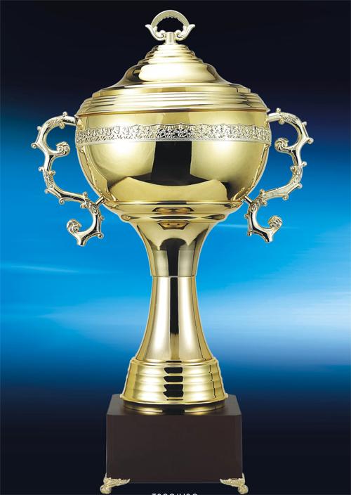 供應(yīng)哪里有賣金屬獎杯/金屬獎杯廠家