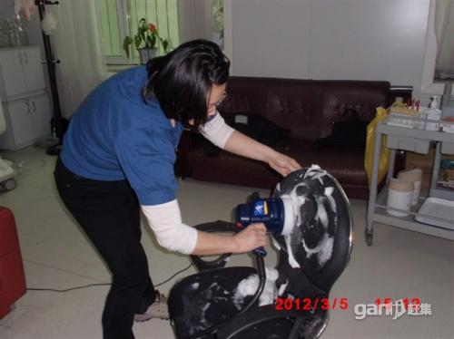 供應(yīng)沙發(fā)翻新清洗保養(yǎng)