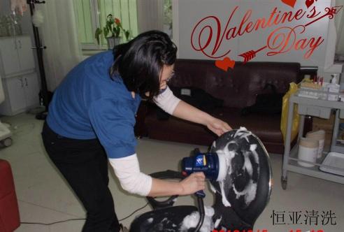 供應(yīng)皮沙發(fā)翻新清洗