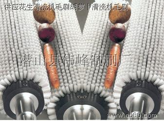 工業(yè)毛刷輥  毛刷輥滾筒刷  豬鬃拋光尼龍磨料絲毛刷輥