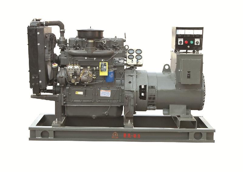 供應(yīng)里卡多發(fā)電機(jī)/小型發(fā)電機(jī)