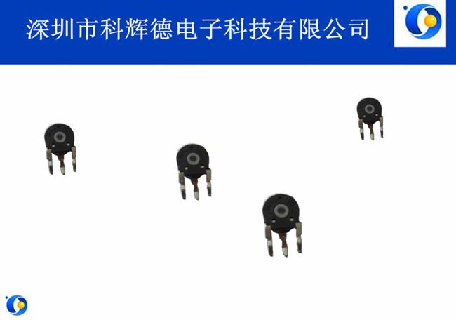 PT06立式侧调西班牙电位器图片