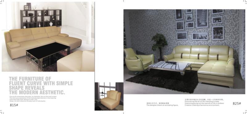 供應廣東佛山*款的客廳家具