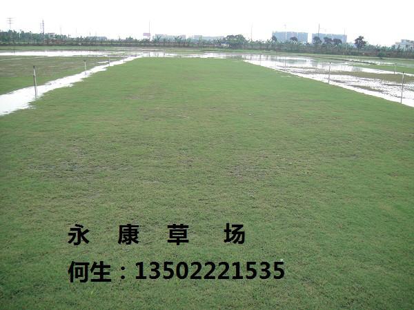 廣東臺灣圖片/廣東臺灣樣板圖 (2)
