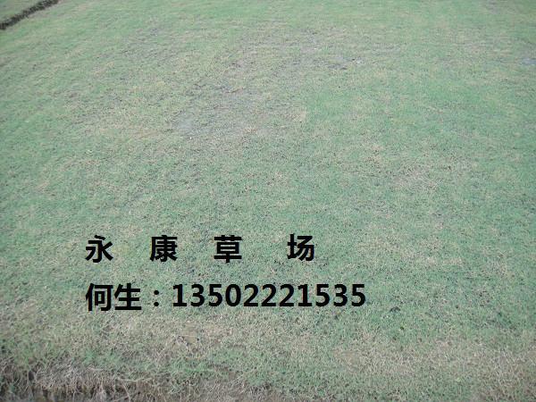 廣東臺灣圖片/廣東臺灣樣板圖 (4)