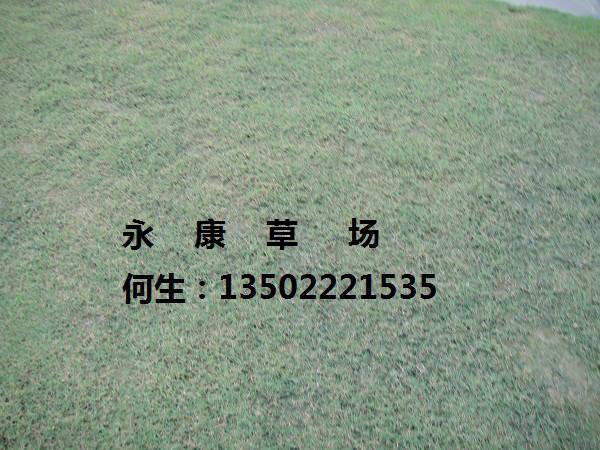 廣東臺灣圖片/廣東臺灣樣板圖 (3)
